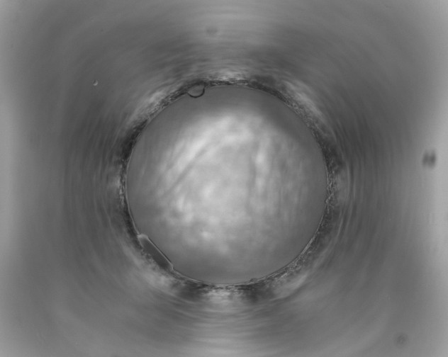 X0000089970415200707202015