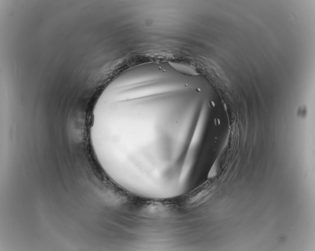 X0000089970416200707202015