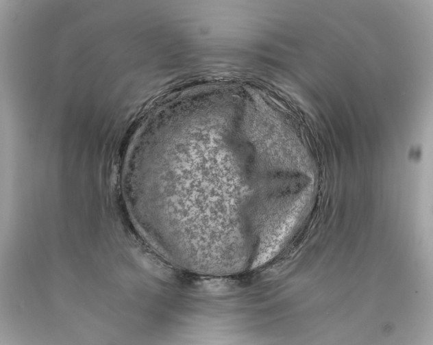 X0000089970417200707202015