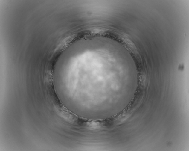 X0000089970419200707202015