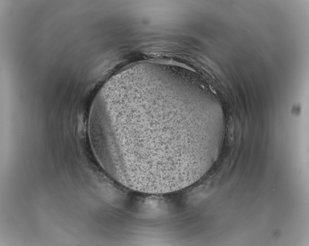 X0000089970420200707202015