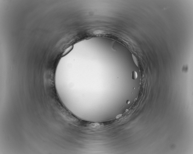 X0000089970421200707202015