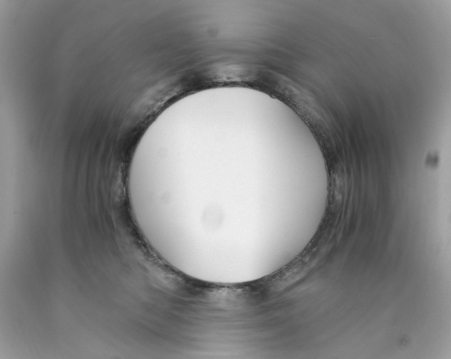 X0000089970422200707202015