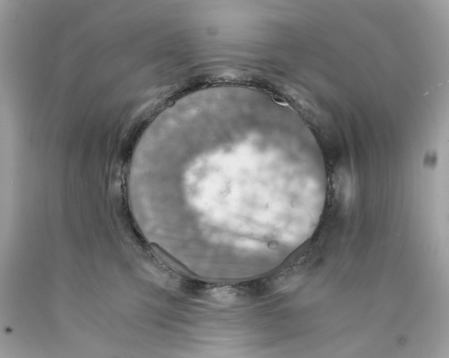 X0000089970423200707202015