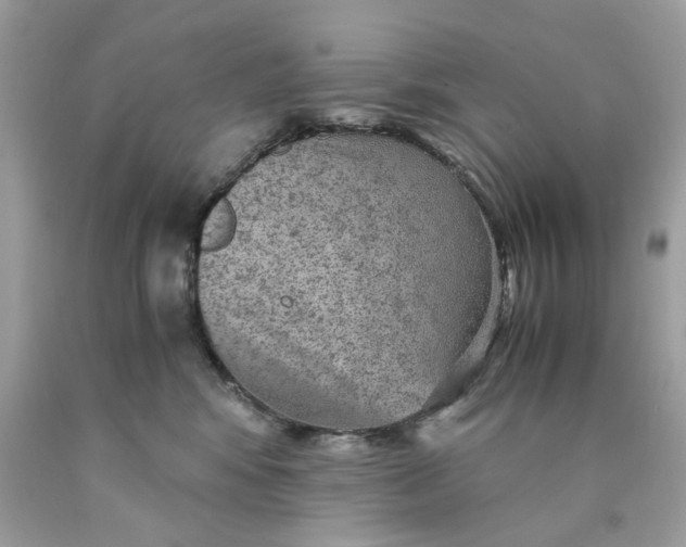 X0000089970424200707202015