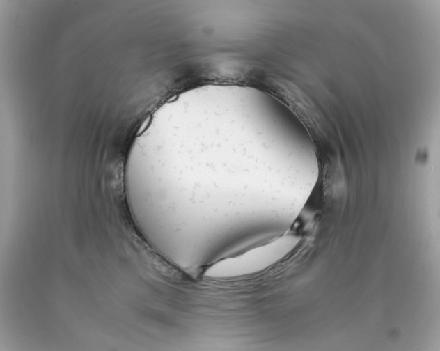 X0000089970425200707202015