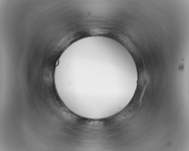 X0000089970426200707202015