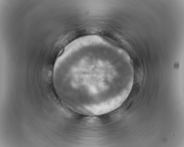 X0000089970427200707202015