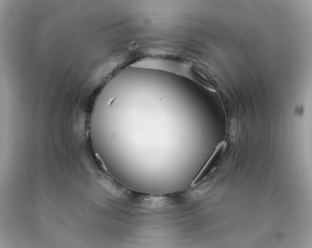 X0000089970428200707202015