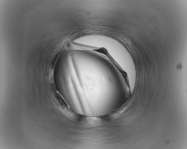 X0000089970429200707202015