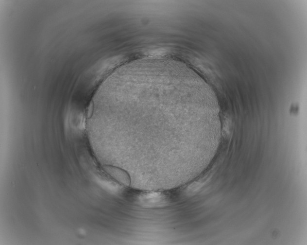 X0000089970431200707202015