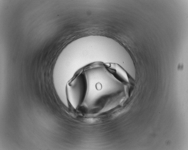 X0000089970432200707202015