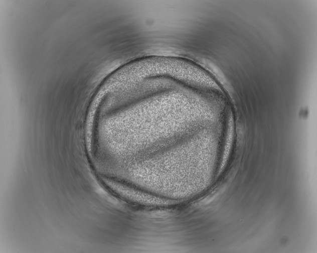 X0000089970433200707202014