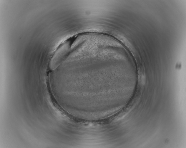 X0000089970434200707202014