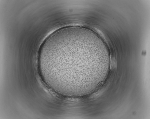 X0000089970435200707202014