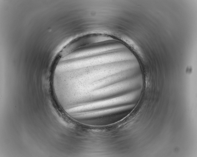 X0000089970436200707202014