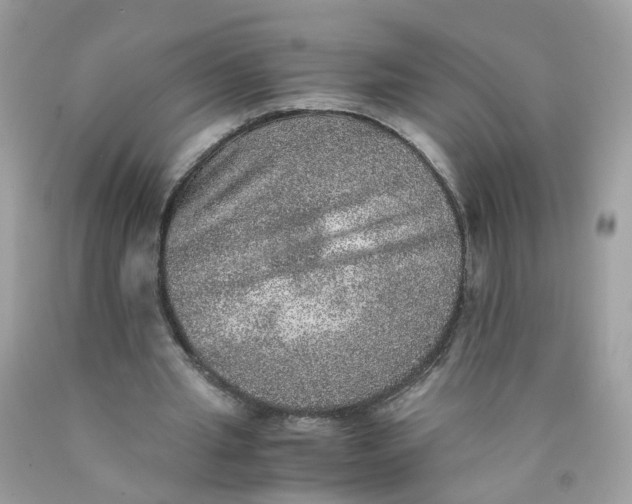 X0000089970437200707202014