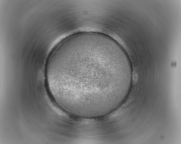 X0000089970438200707202014