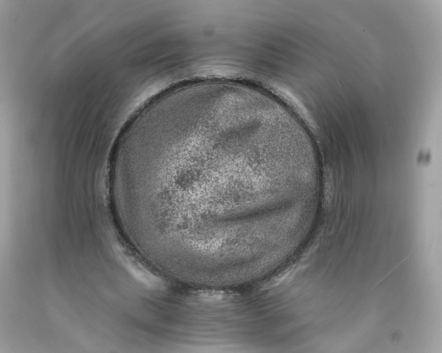 X0000089970439200707202014