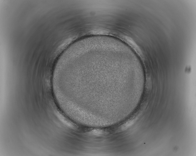 X0000089970441200707202014