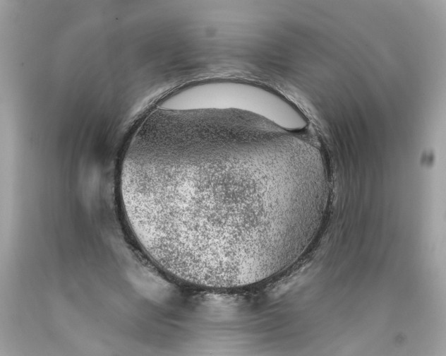 X0000089970442200707202014