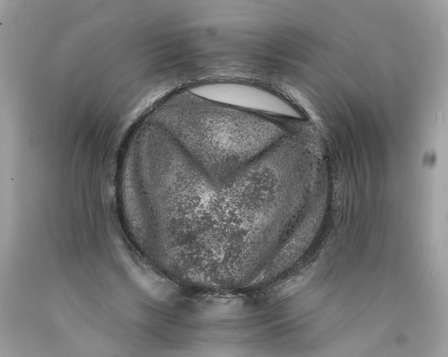 X0000089970443200707202014