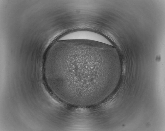 X0000089970444200707202014