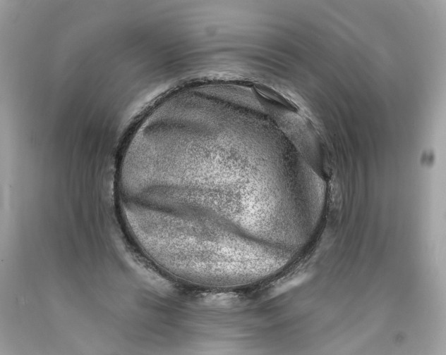 X0000089970446200707202014