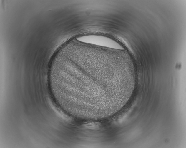 X0000089970447200707202014