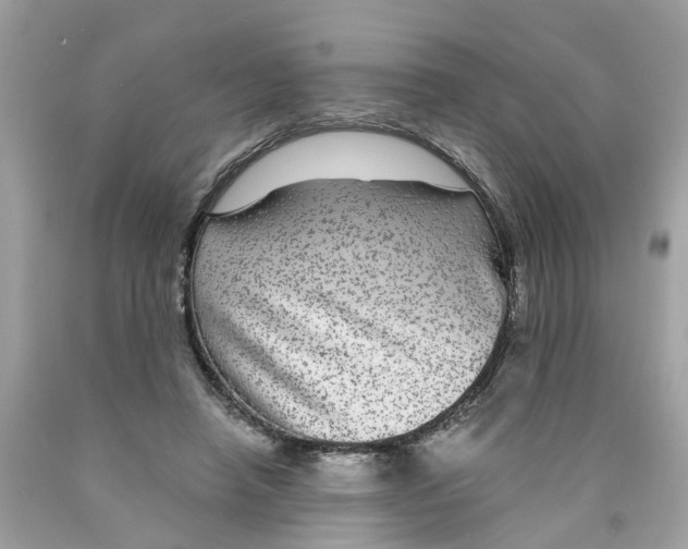 X0000089970450200707202014