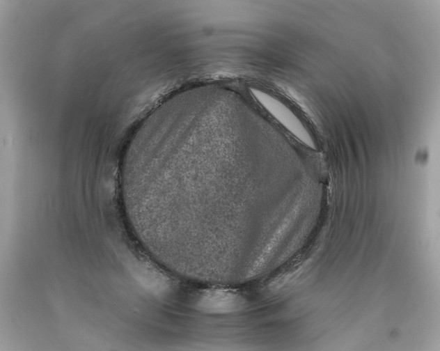 X0000089970451200707202014