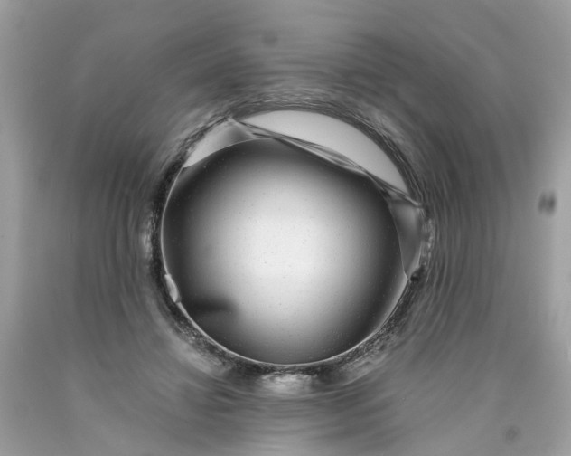 X0000089970452200707202014