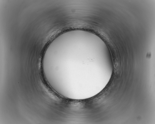 X0000089970454200707202014