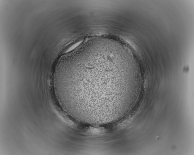 X0000089970455200707202014