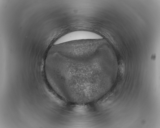 X0000089970458200707202014