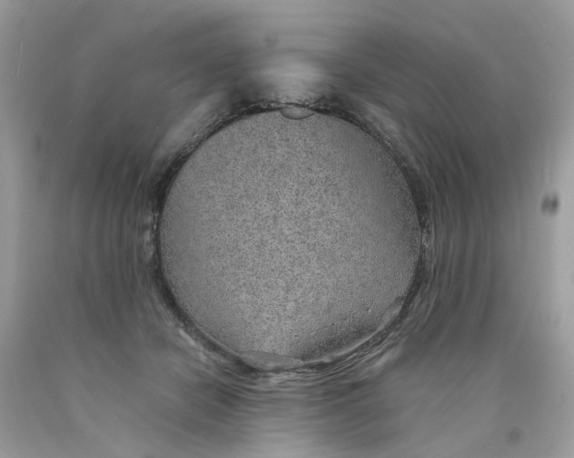 X0000089970462200707202014