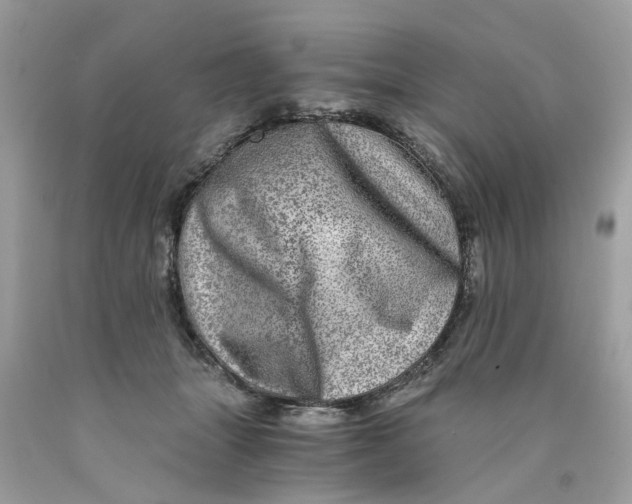 X0000089970463200707202014