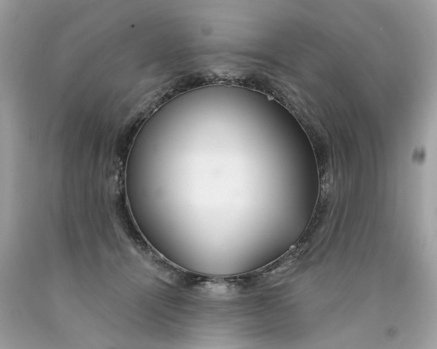 X0000089970464200707202014