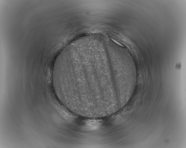 X0000089970465200707202014