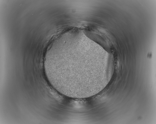 X0000089970466200707202014