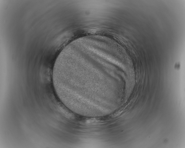 X0000089970470200707202014