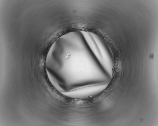 X0000089970472200707202014