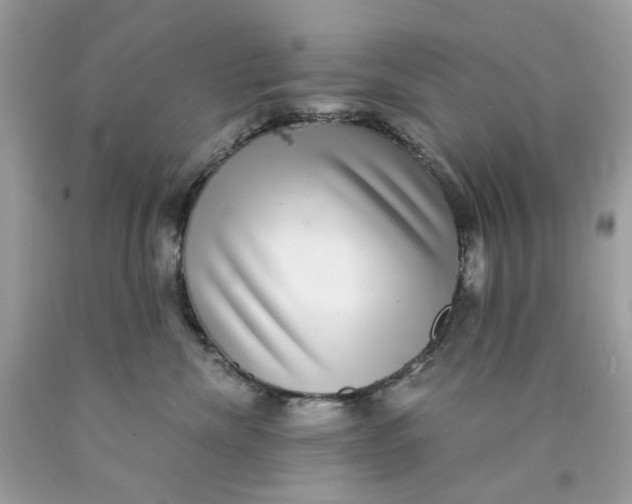 X0000089970476200707202014