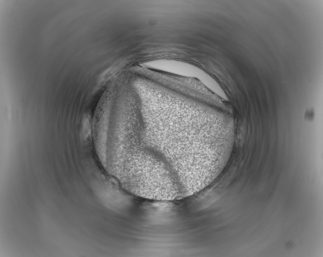 X0000089970478200707202014