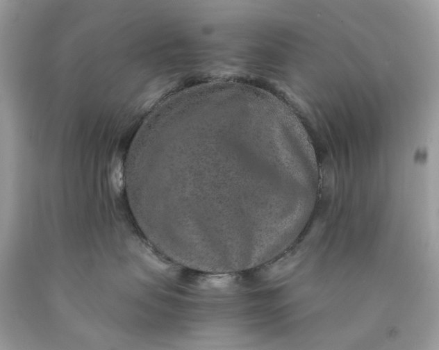 X0000089970479200707202015