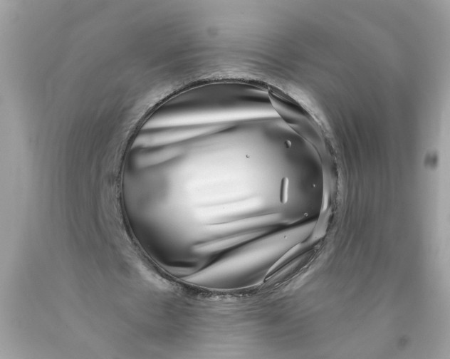 X0000089970481200707202014