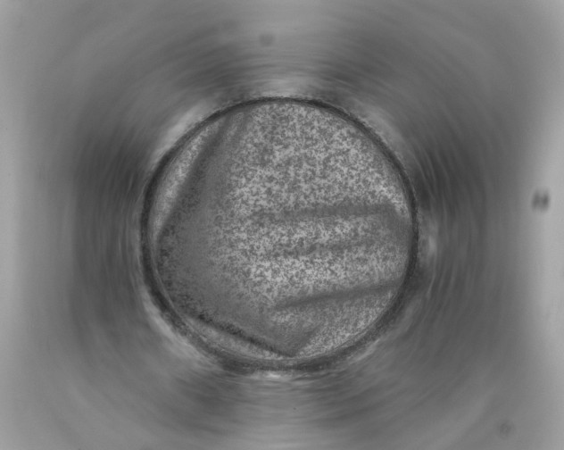 X0000089970482200707202014