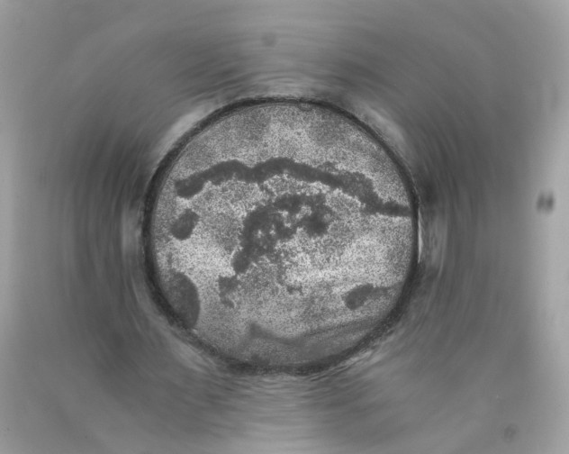 X0000089970483200707202014