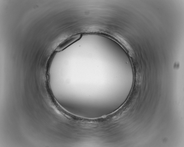 X0000089970485200707202014