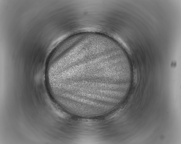 X0000089970486200707202014